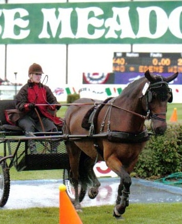 Tracy Dopko driving Edens Winston at Spruce Meadows
Photo credit: Cansport